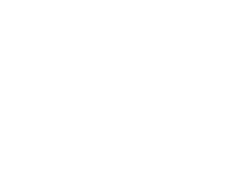 HSS